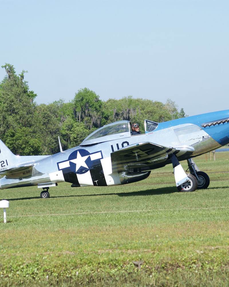  - Warbird