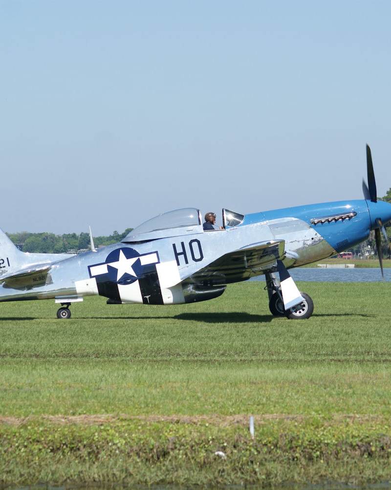  - Warbird