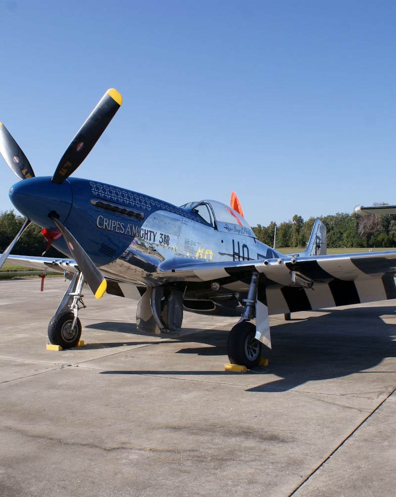 - Warbird