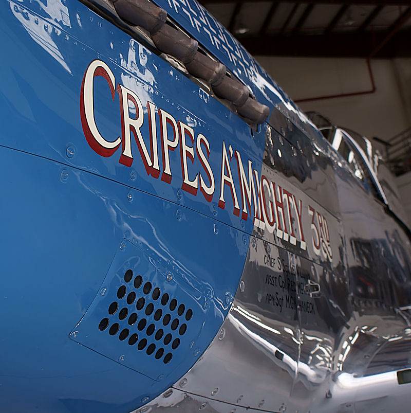  - Warbird