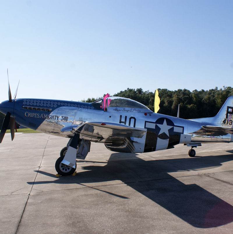  - Warbird