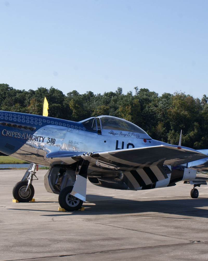  - Warbird
