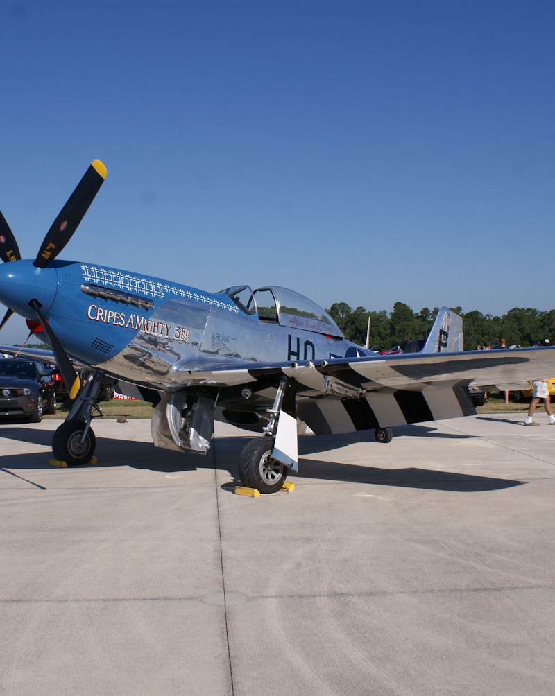  - Warbird