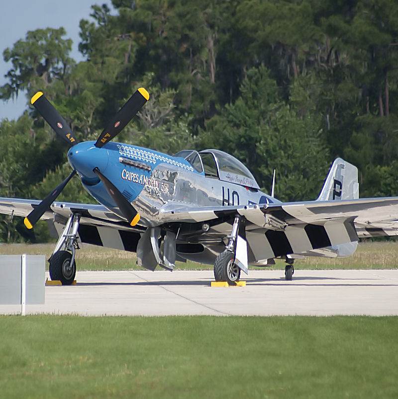  - Warbird