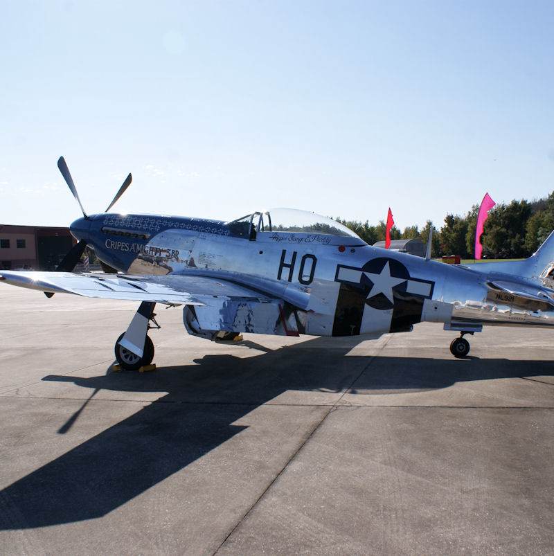  - Warbird