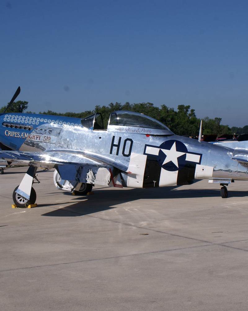  - Warbird