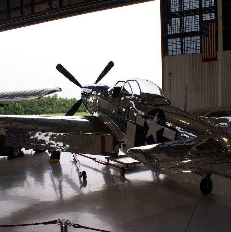  - Warbird