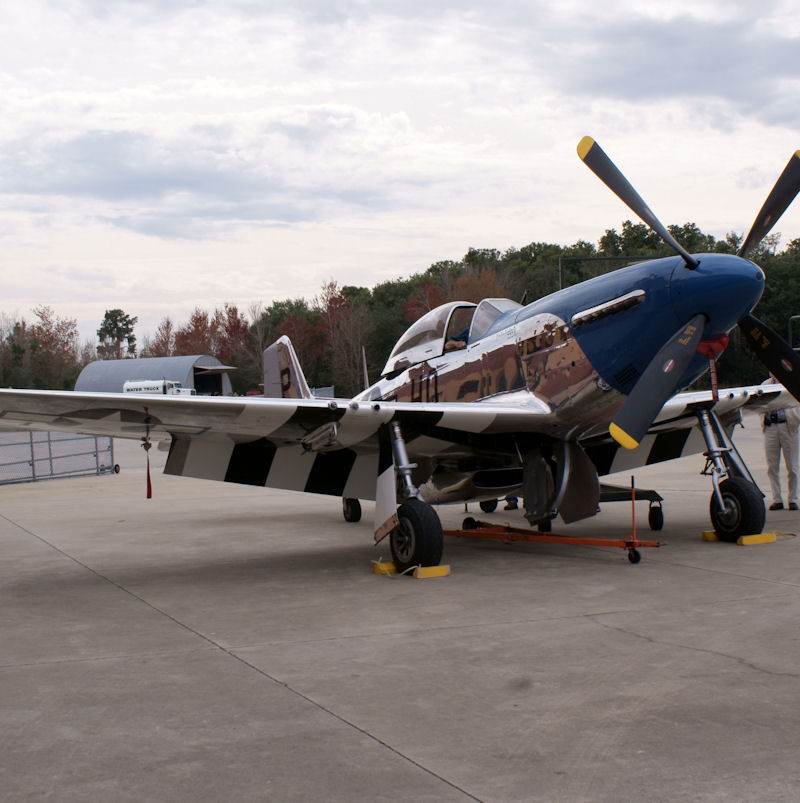  - Warbird