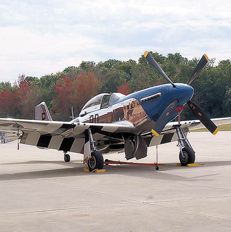  - Warbird