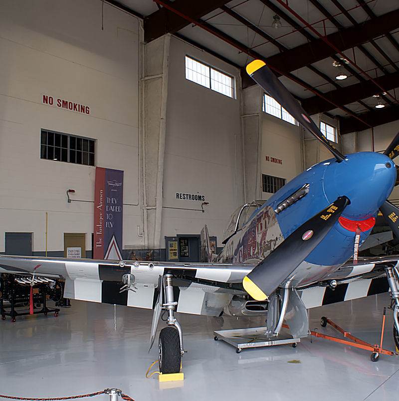  - Warbird