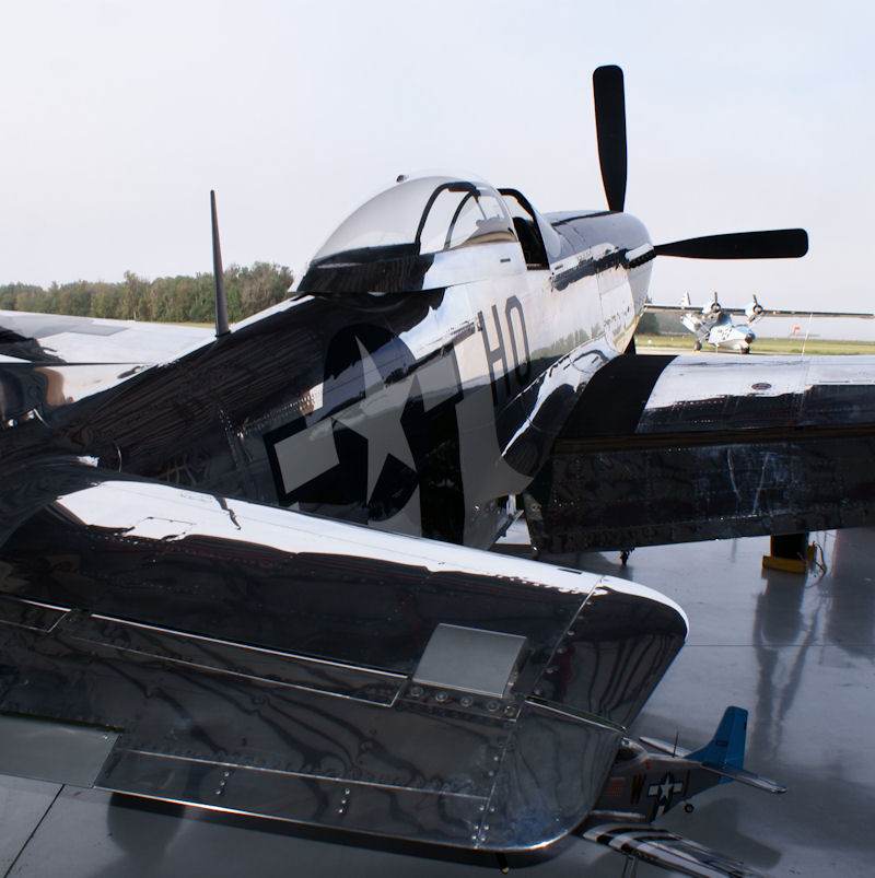  - Warbird