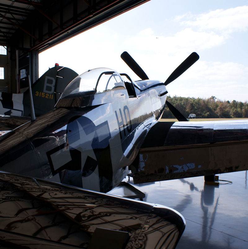  - Warbird