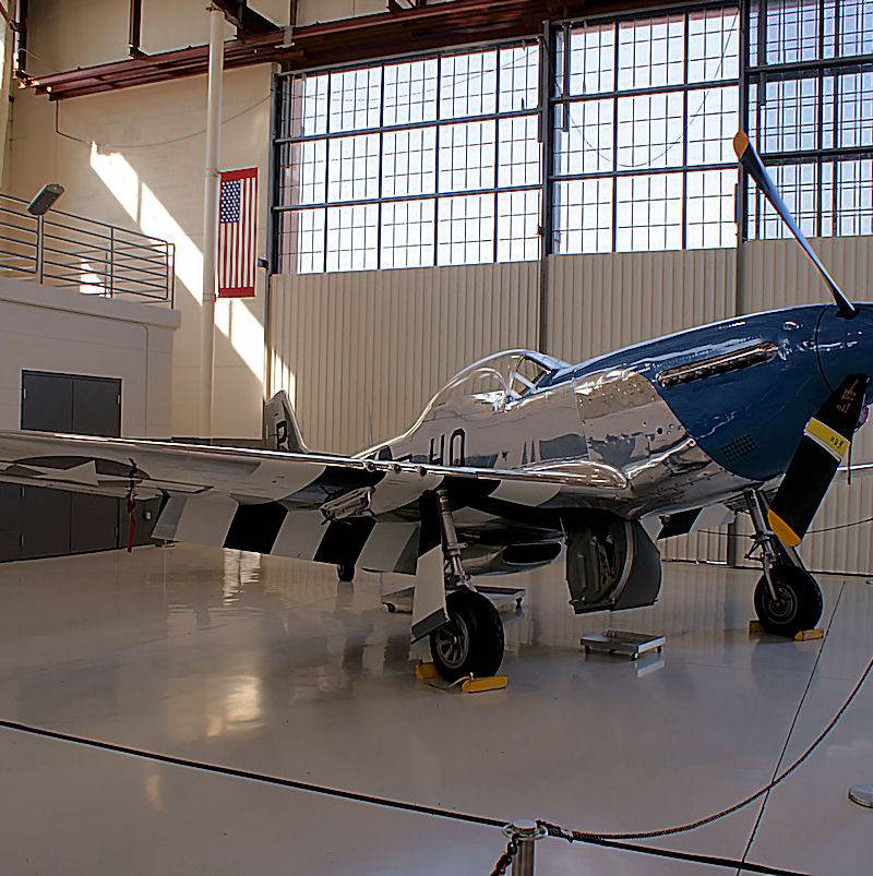  - Warbird