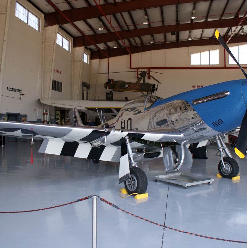  - Warbird