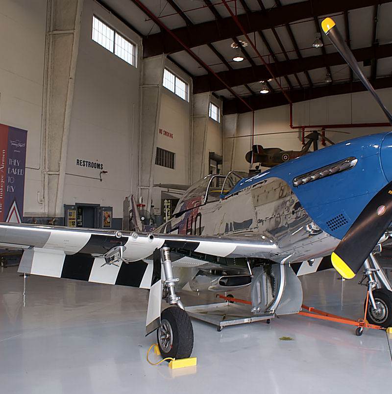  - Warbird