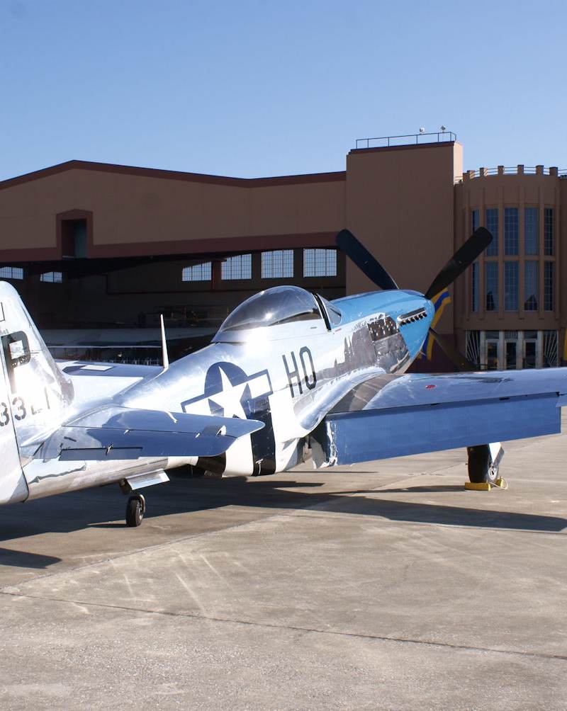  - Warbird