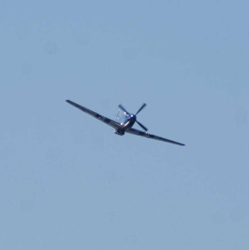  - Warbird