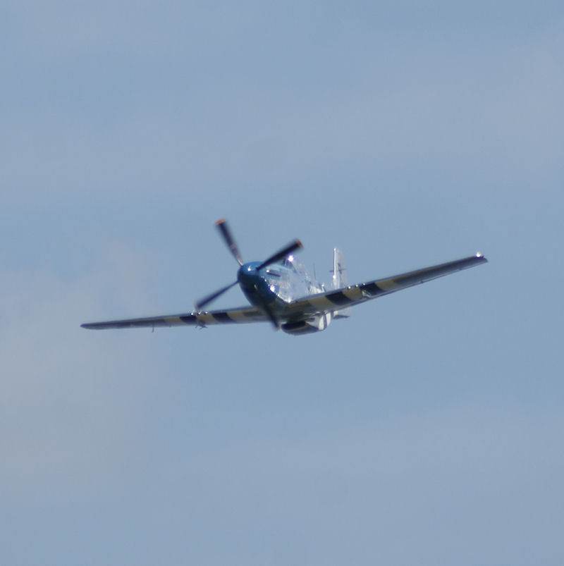  - Warbird
