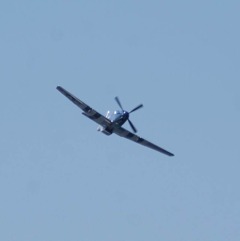  - Warbird
