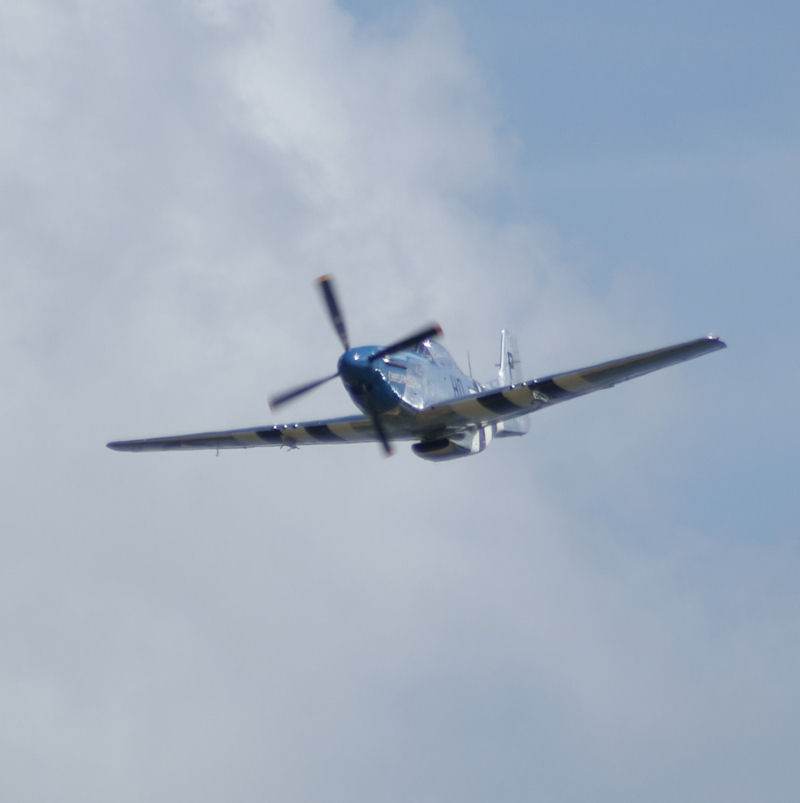  - Warbird