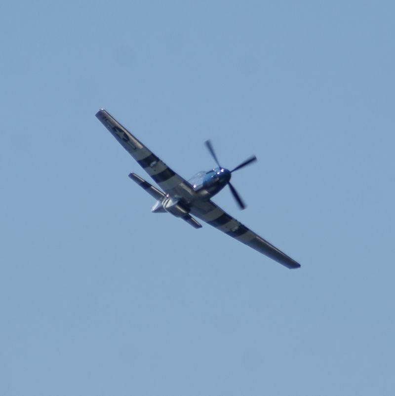  - Warbird