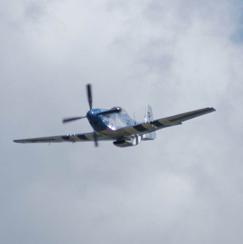  - Warbird