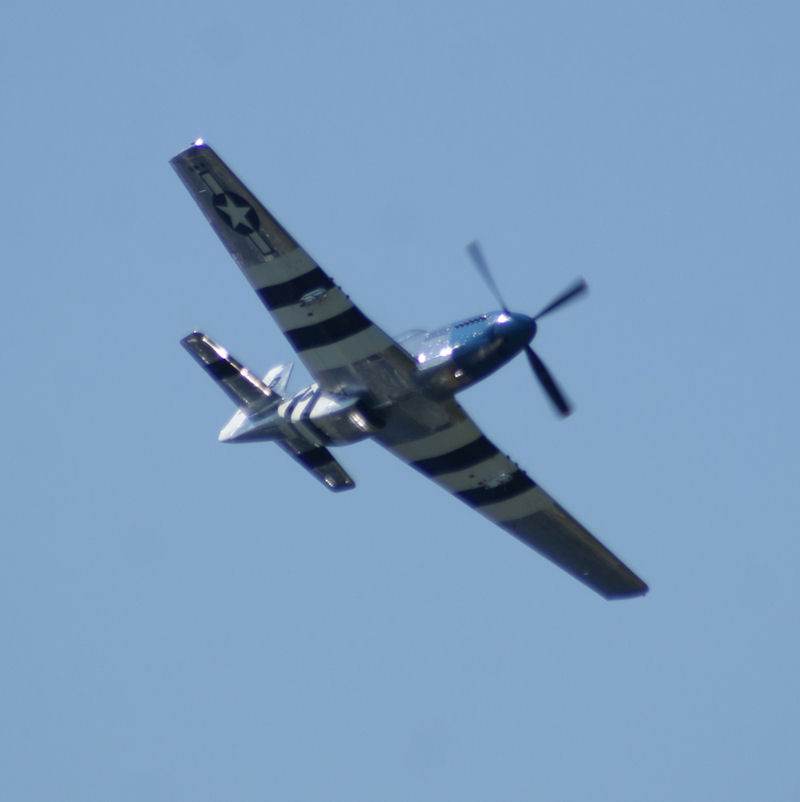  - Warbird
