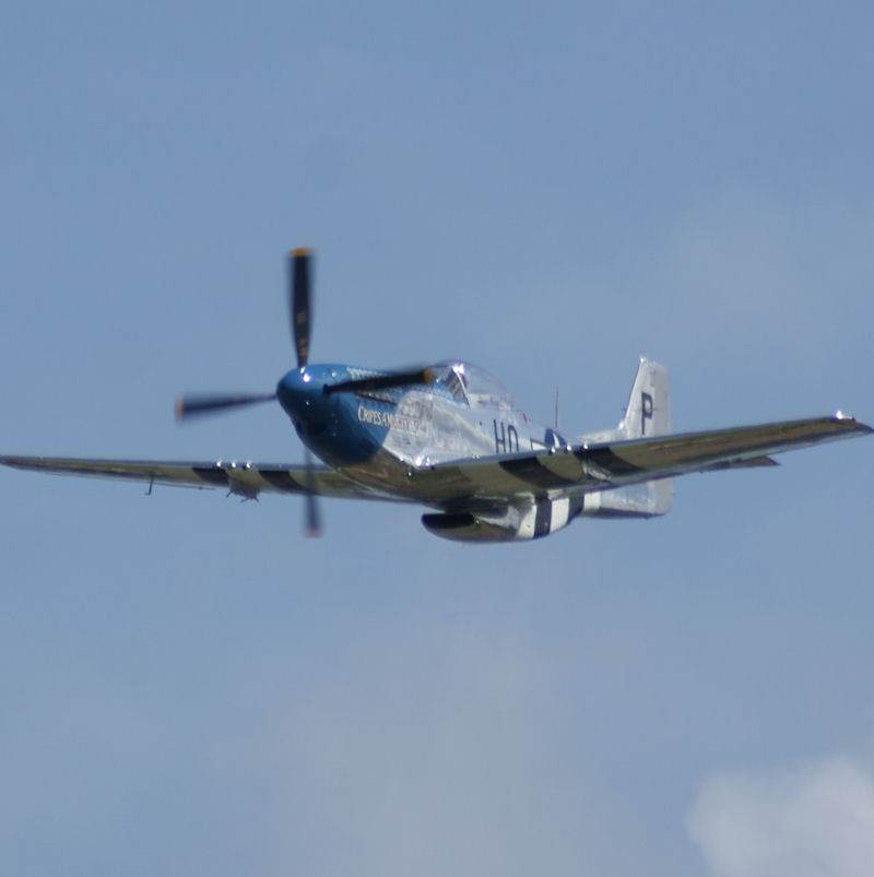  - Warbird