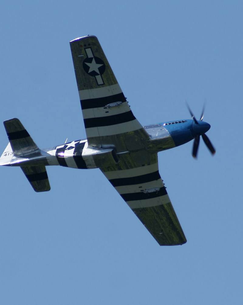  - Warbird