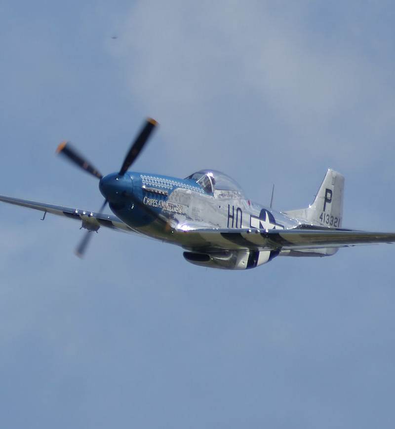  - Warbird