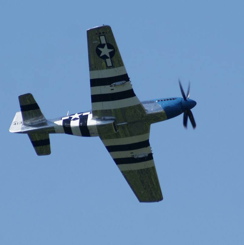  - Warbird