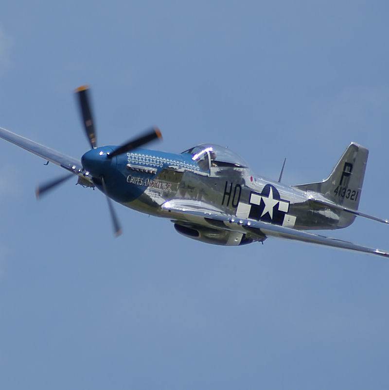  - Warbird