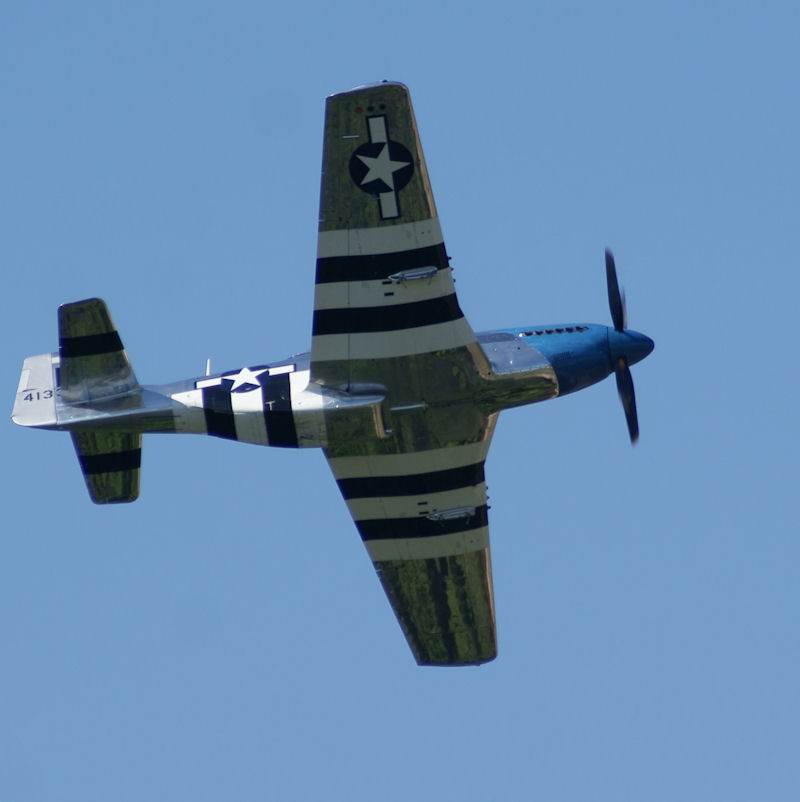  - Warbird