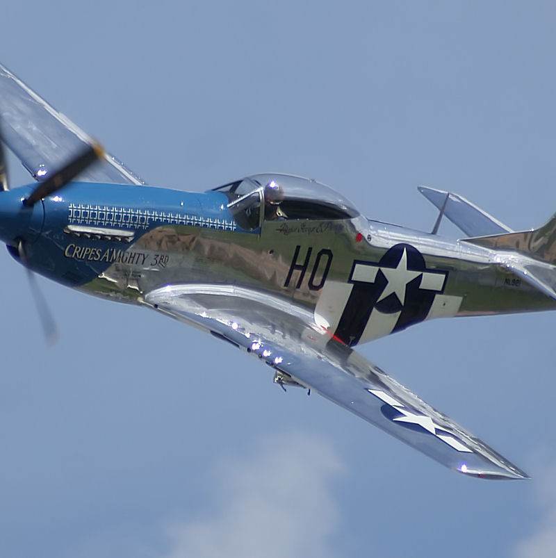  - Warbird