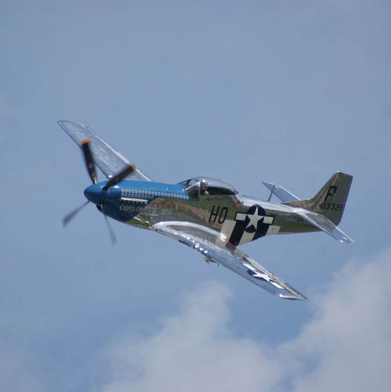  - Warbird