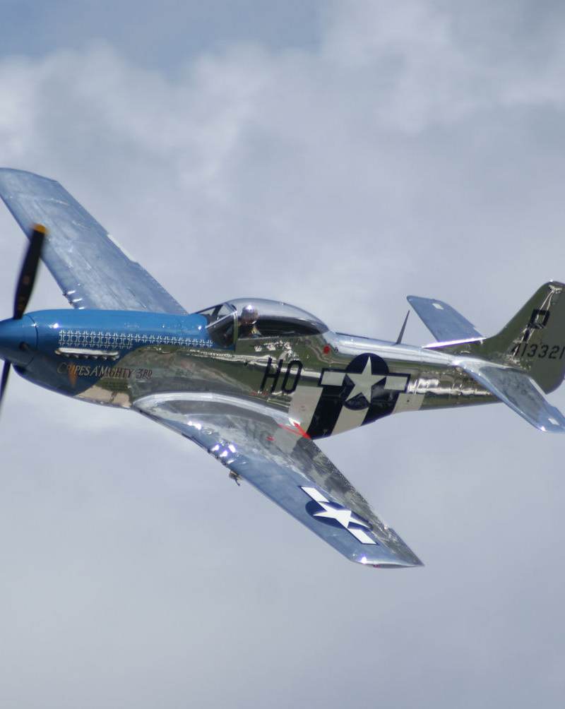  - Warbird