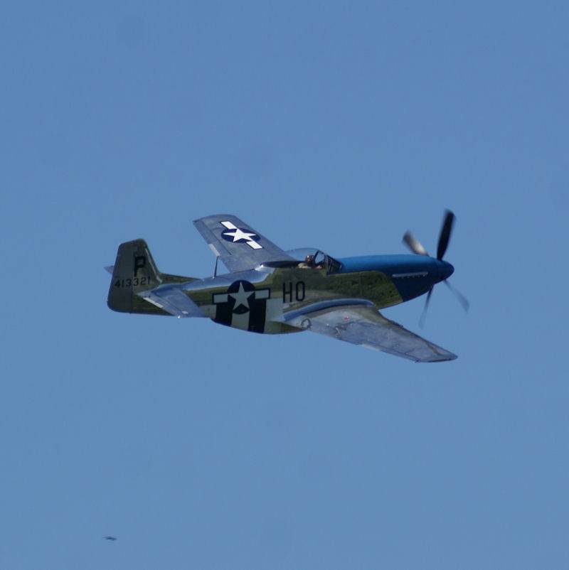  - Warbird