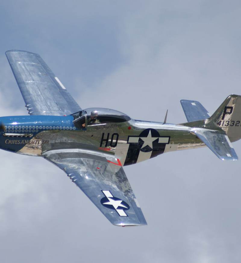  - Warbird