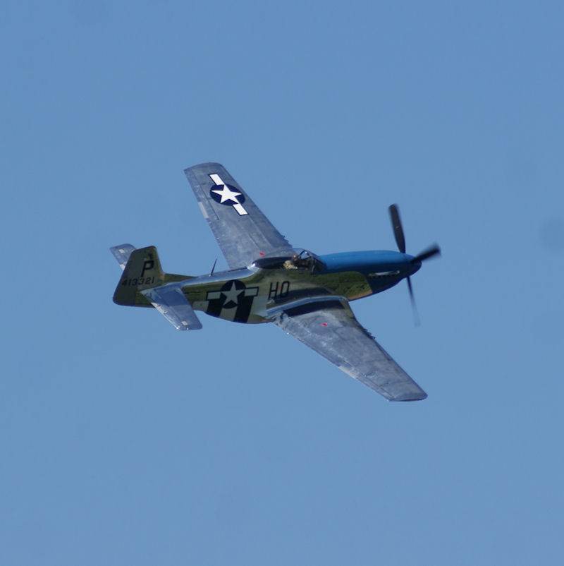  - Warbird