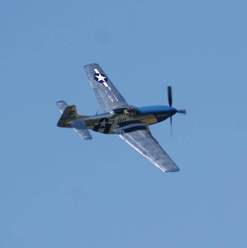  - Warbird