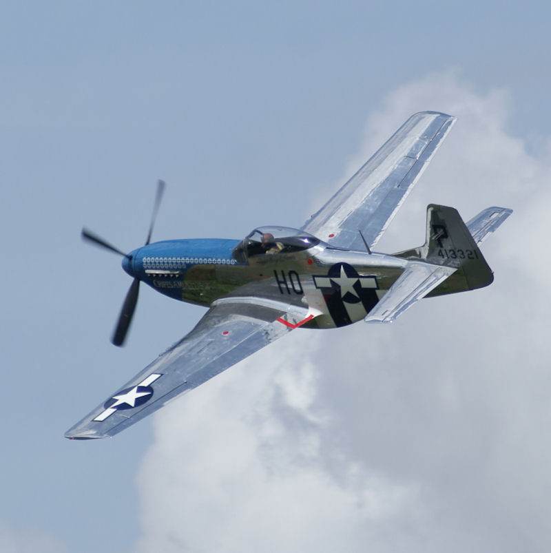  - Warbird
