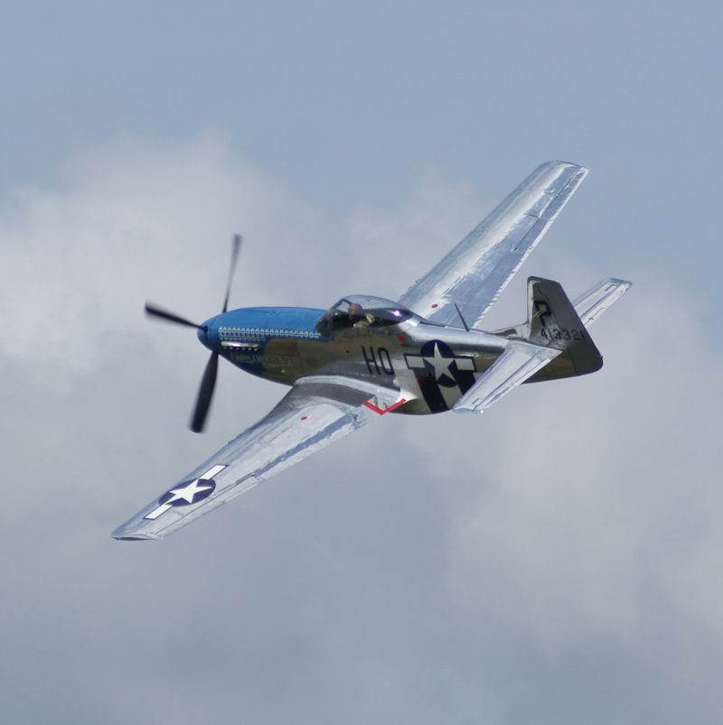  - Warbird