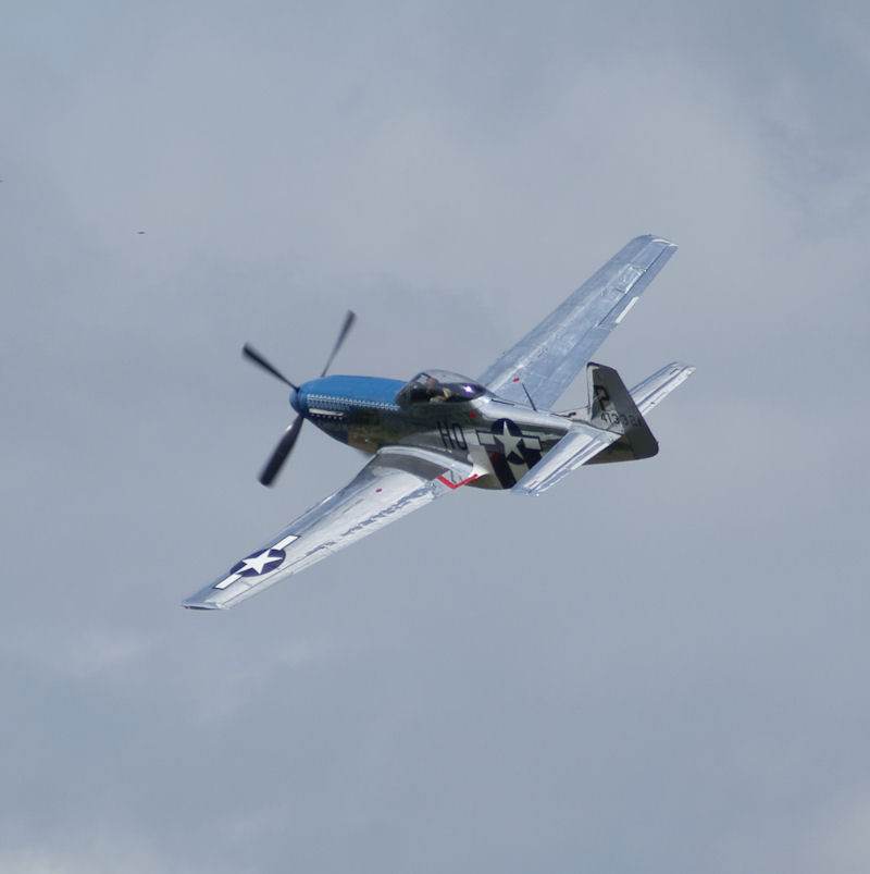  - Warbird