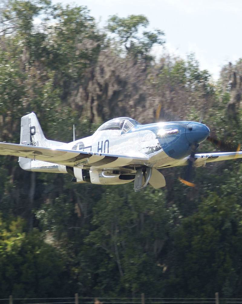  - Warbird