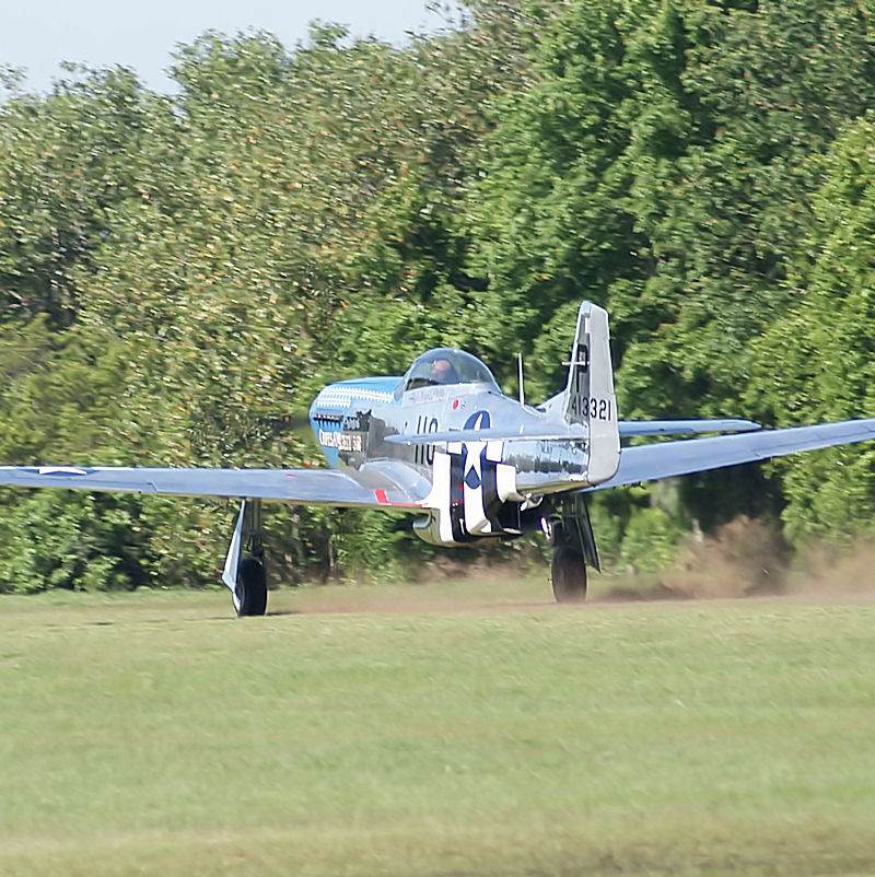  - Warbird