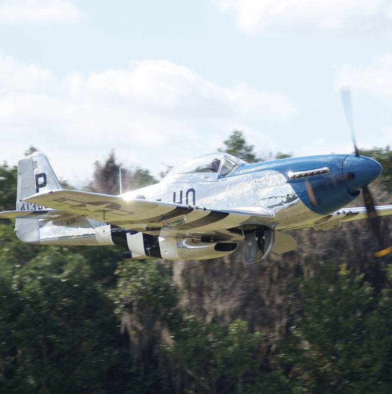  - Warbird