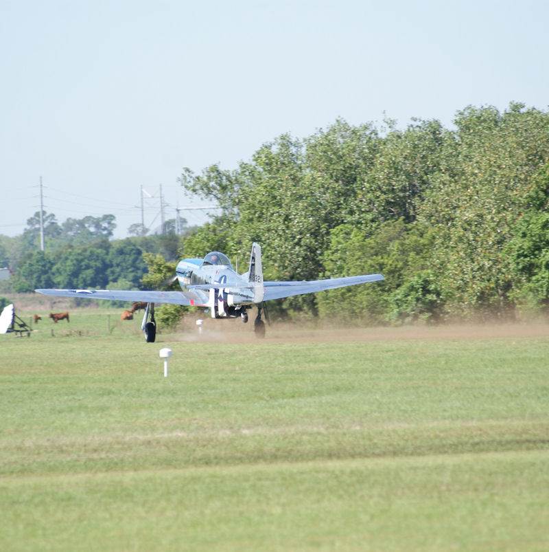  - Warbird