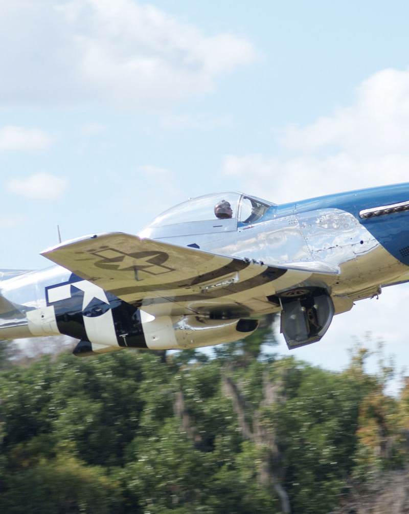  - Warbird