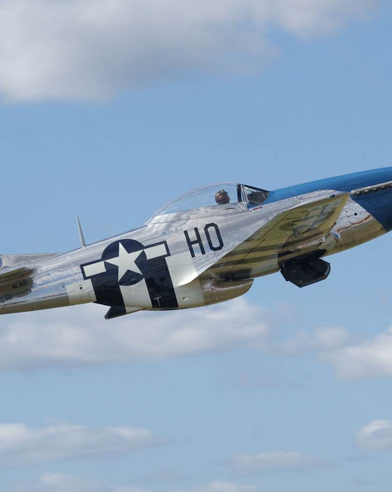  - Warbird