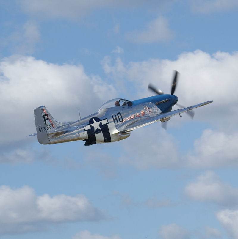  - Warbird